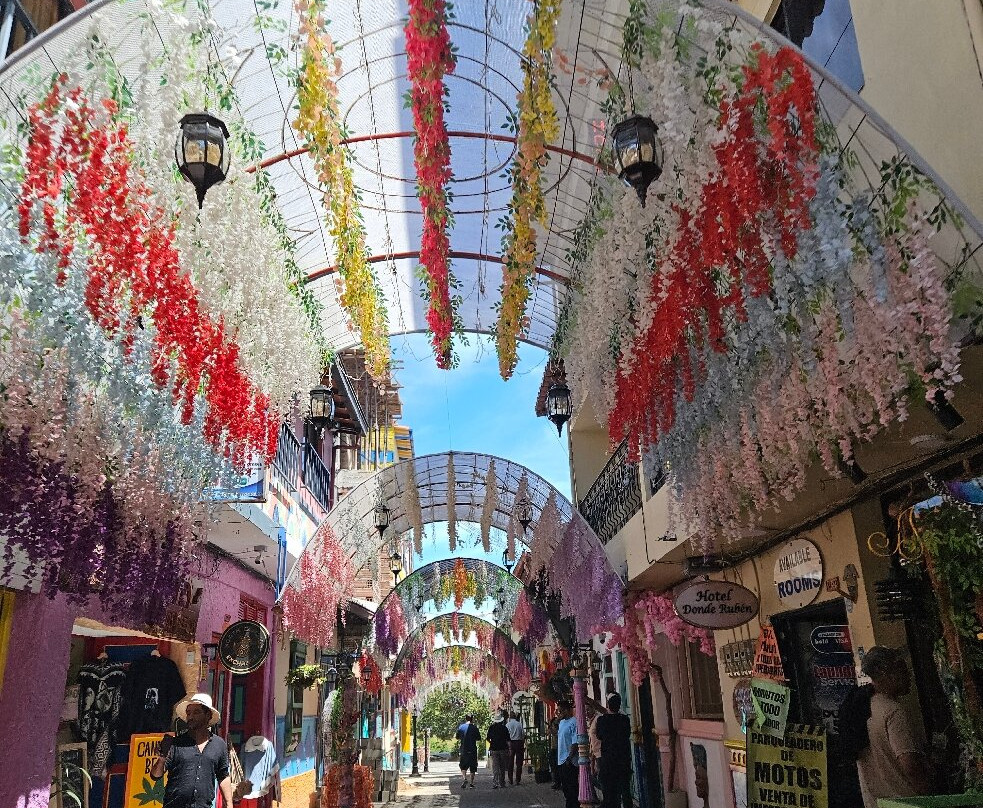 Guanabana Tours-麦德林必去景点