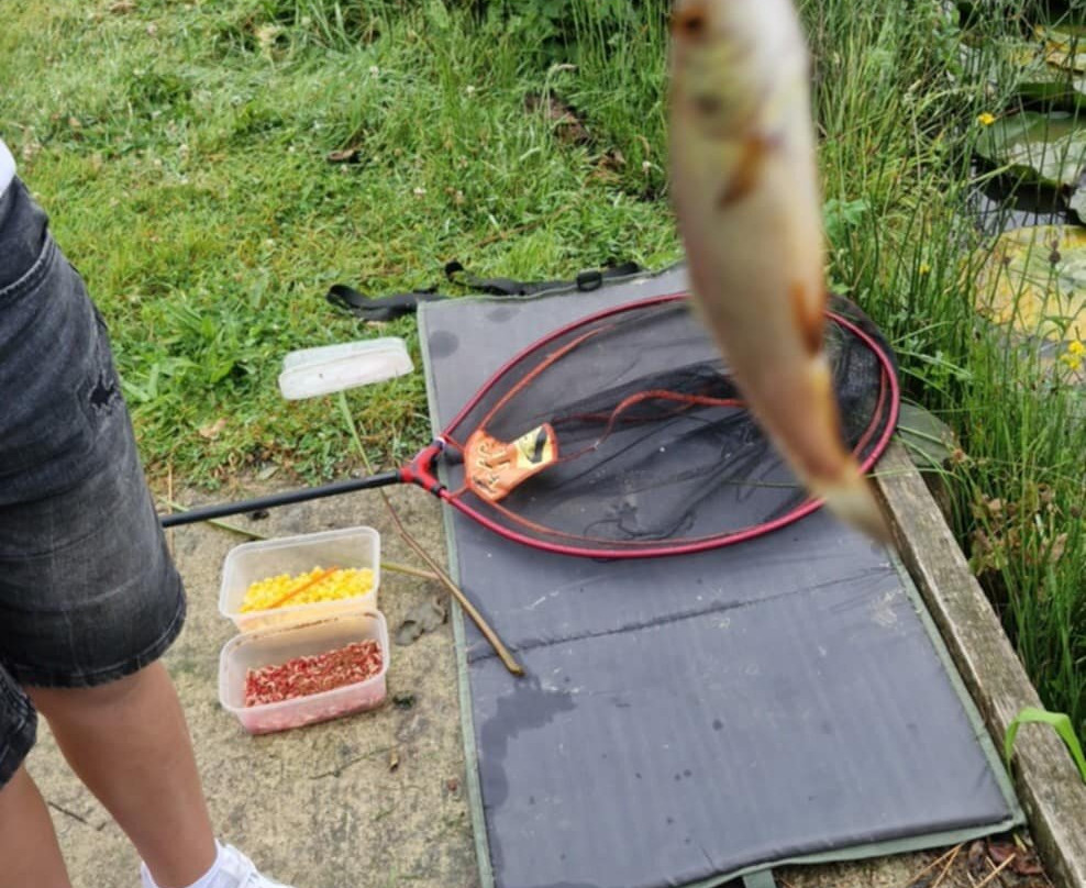 Yet-Y-Gors Campsite and Fishery Fishguard-Dwrbach必去景点