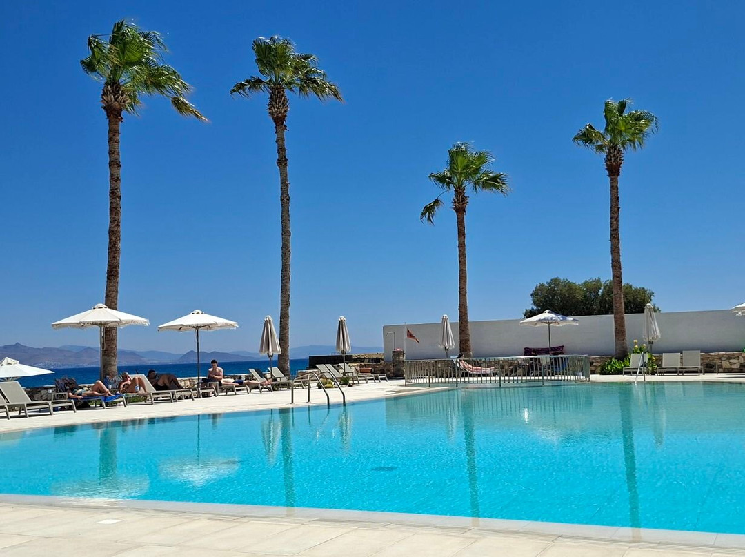 Irina Beach Hotel主图