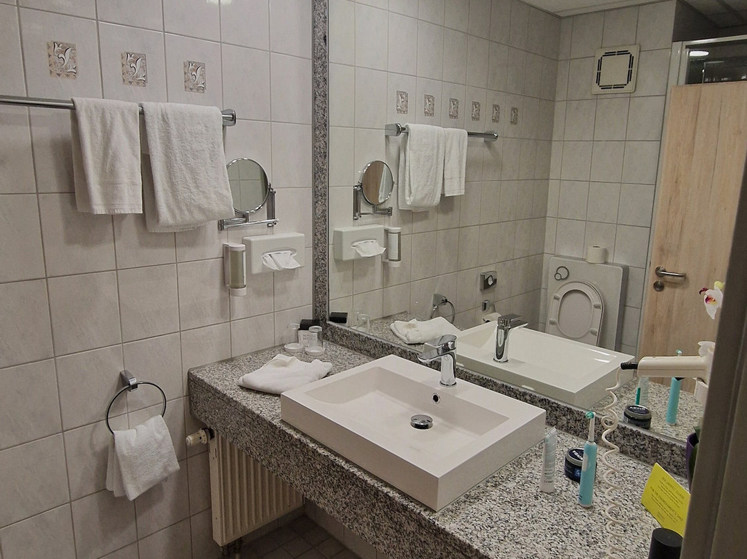 Novina Hotel Suedwestpark主图