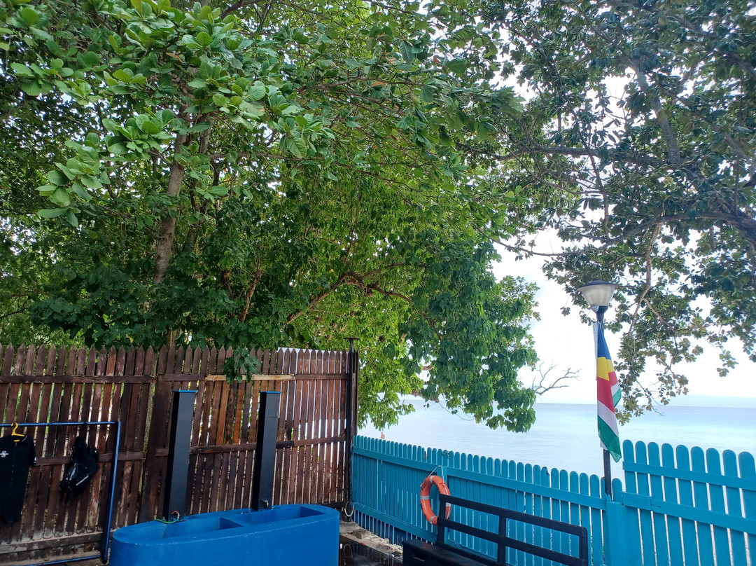 Dive Seychelles Underwater Centre-博瓦隆必去景点