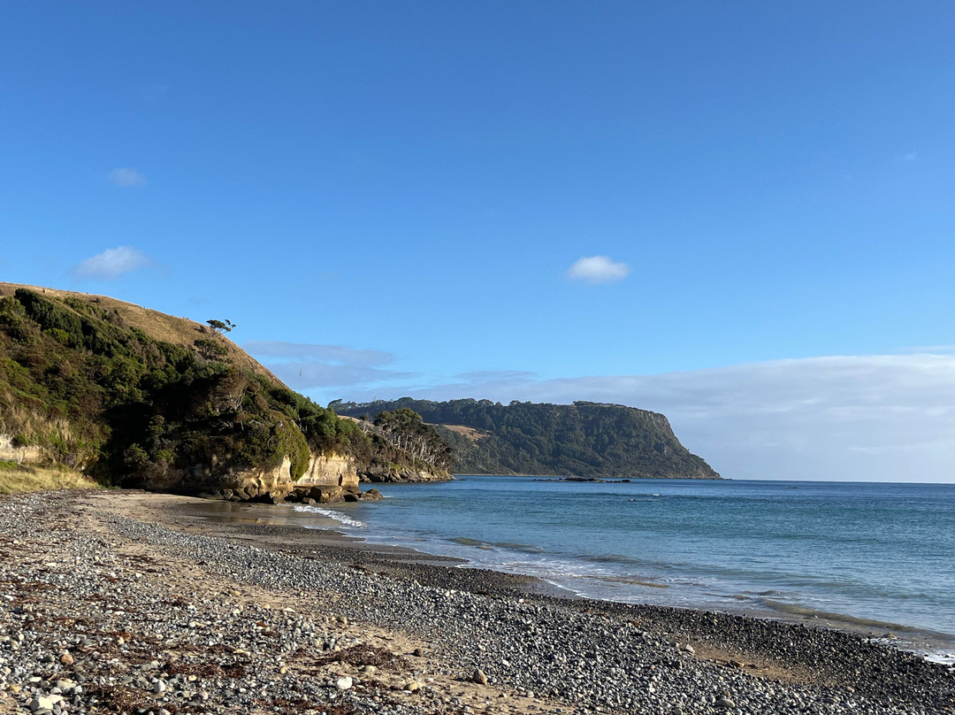 Fossil Bluff Lookout-温耶德必去景点