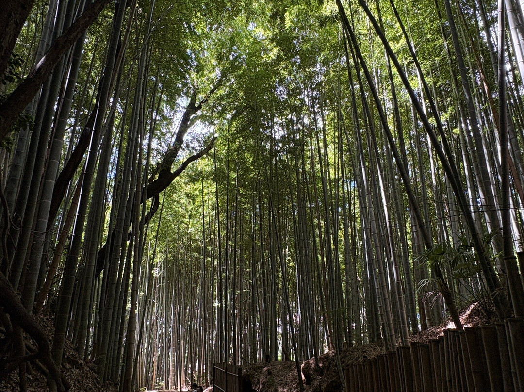 Hiyodori Hill-佐仓市必去景点