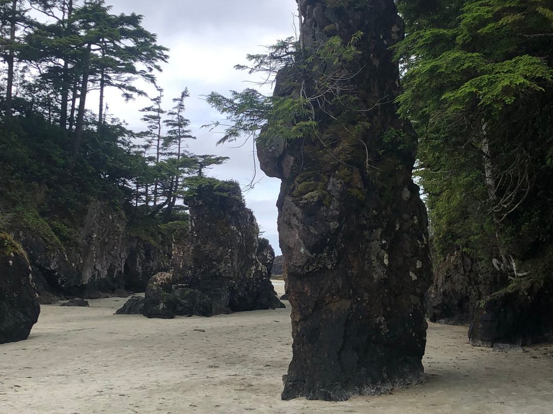 San Josef Bay-Holberg必去景点