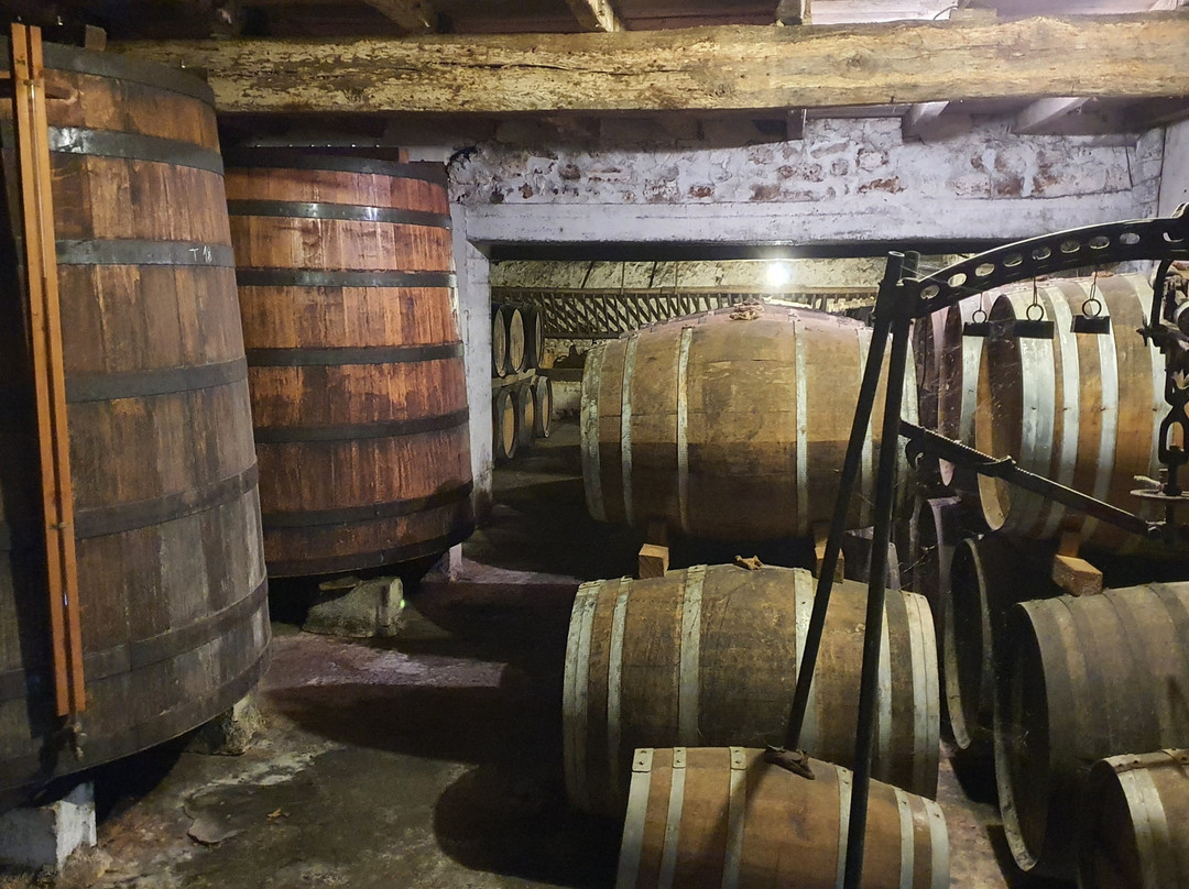 Domaine de Château Guynot-Tesson必去景点