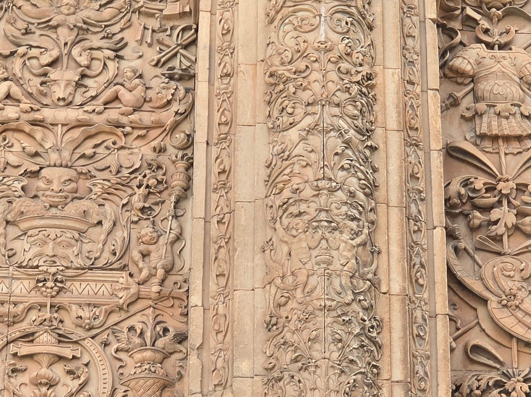 La Rana de Salamanca-萨拉曼卡必去景点