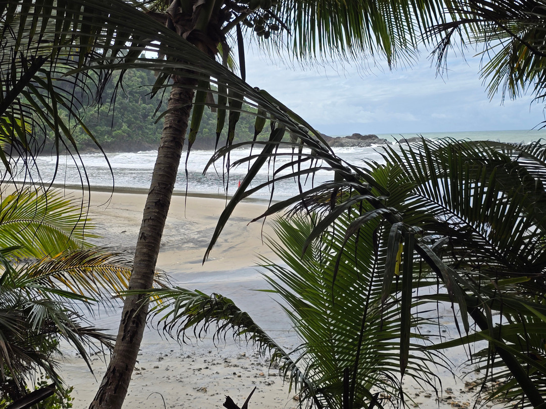 Trilha das Quatro Praias-Itacare必去景点