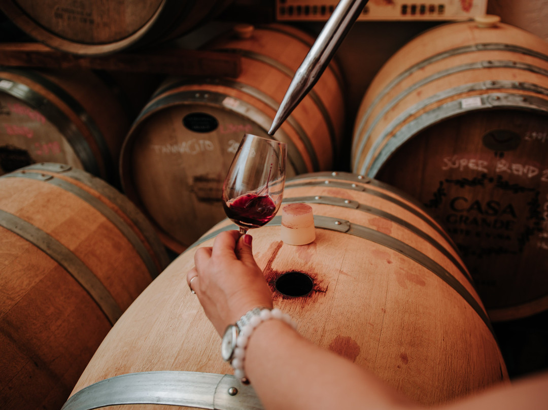 Bodega Garaje Casa Grande-Canelones必去景点