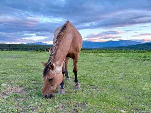 Terra Nostra Guest Ranch主图