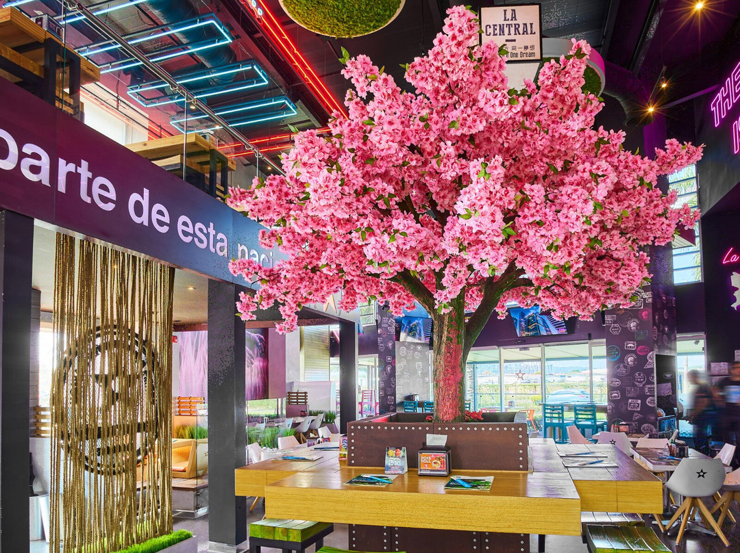 Nacionsushi Multiplaza