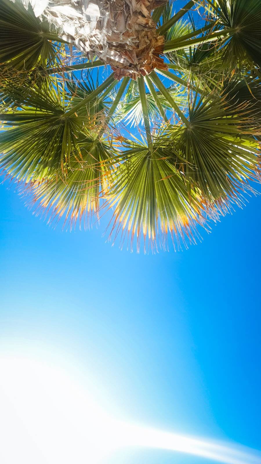 Pnoé Breathing Life-泳池