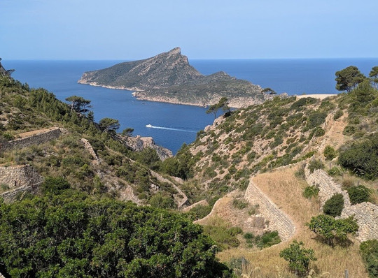 The Mountain Connections Co.