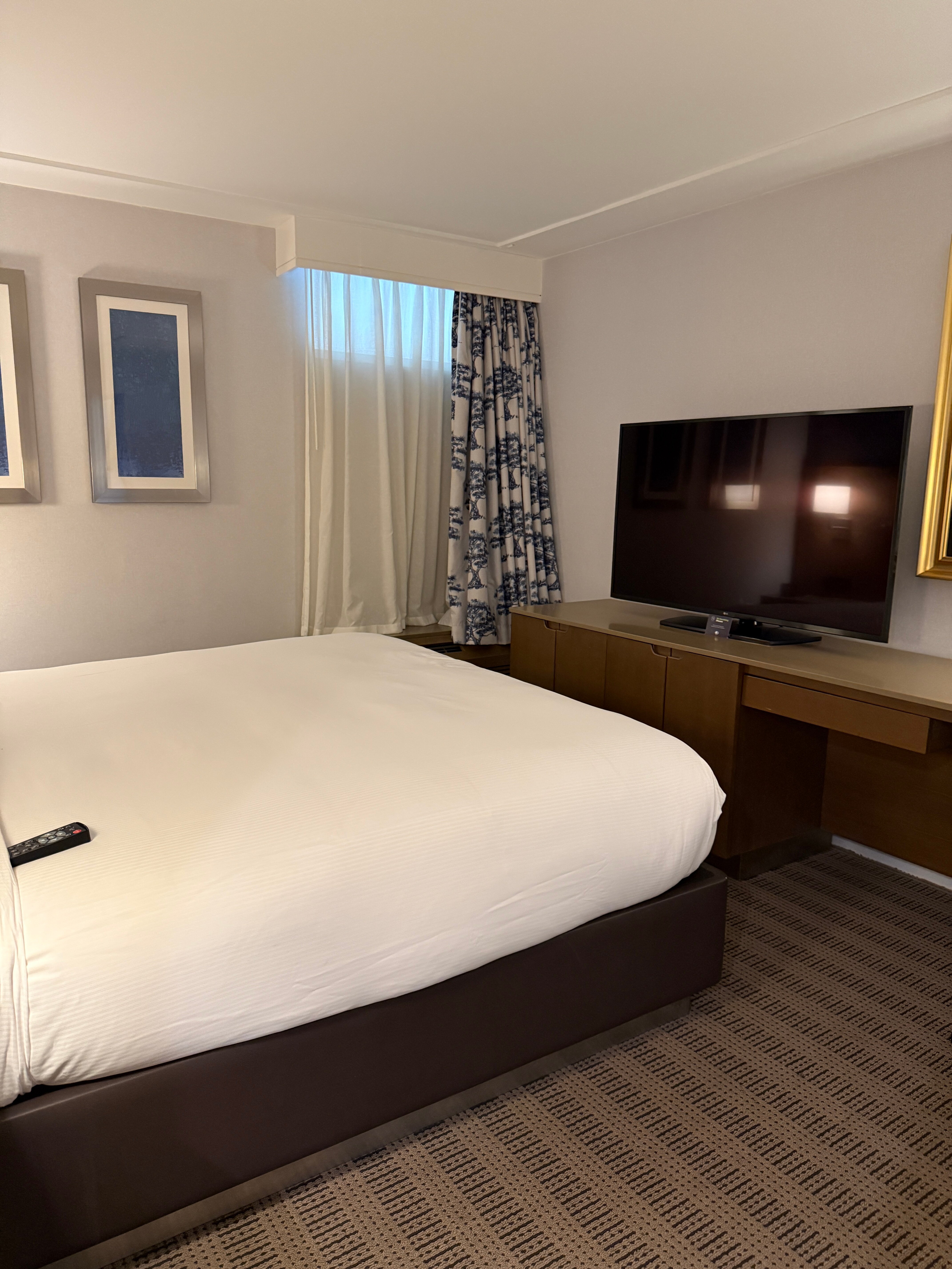 托伦斯希尔顿逸林酒店-客卧