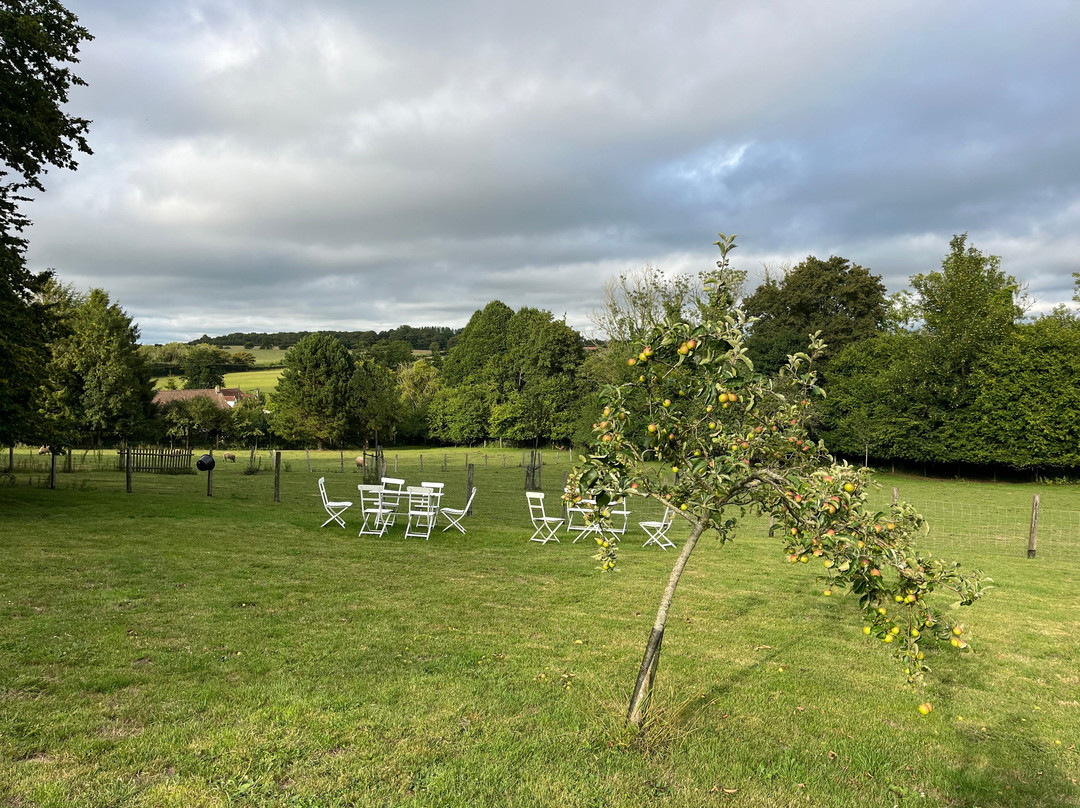 Le Prince Gourmand主图