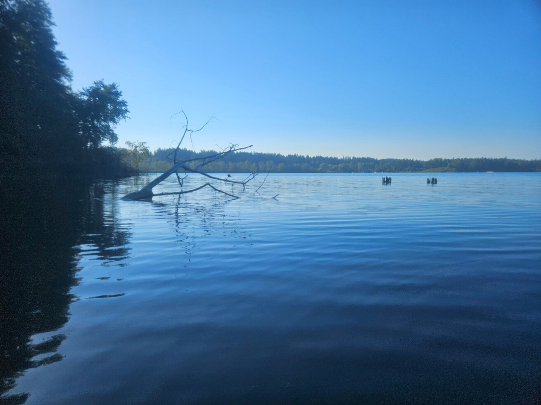Elk/Beaver Lake Regional Park-中萨尼奇必去景点