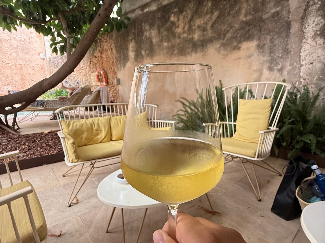 Sa Creu Nova Petit Palais Art & Spa主图