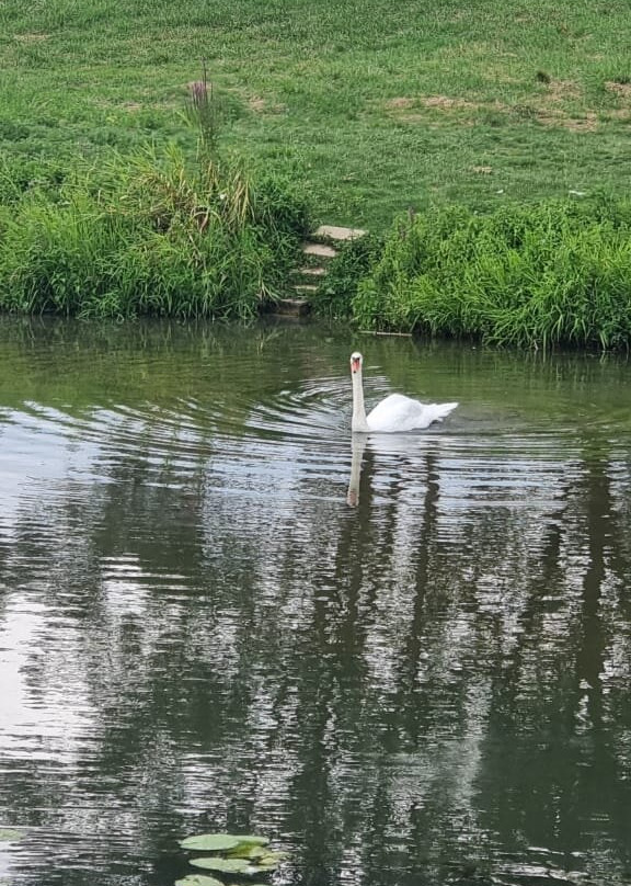 Le Boat - Branges-Branges必去景点