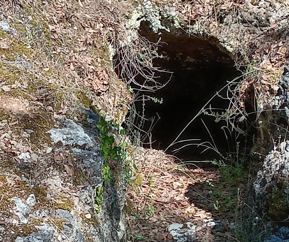 Necropoli Etrusca Di Malignano-索维奇勒必去景点