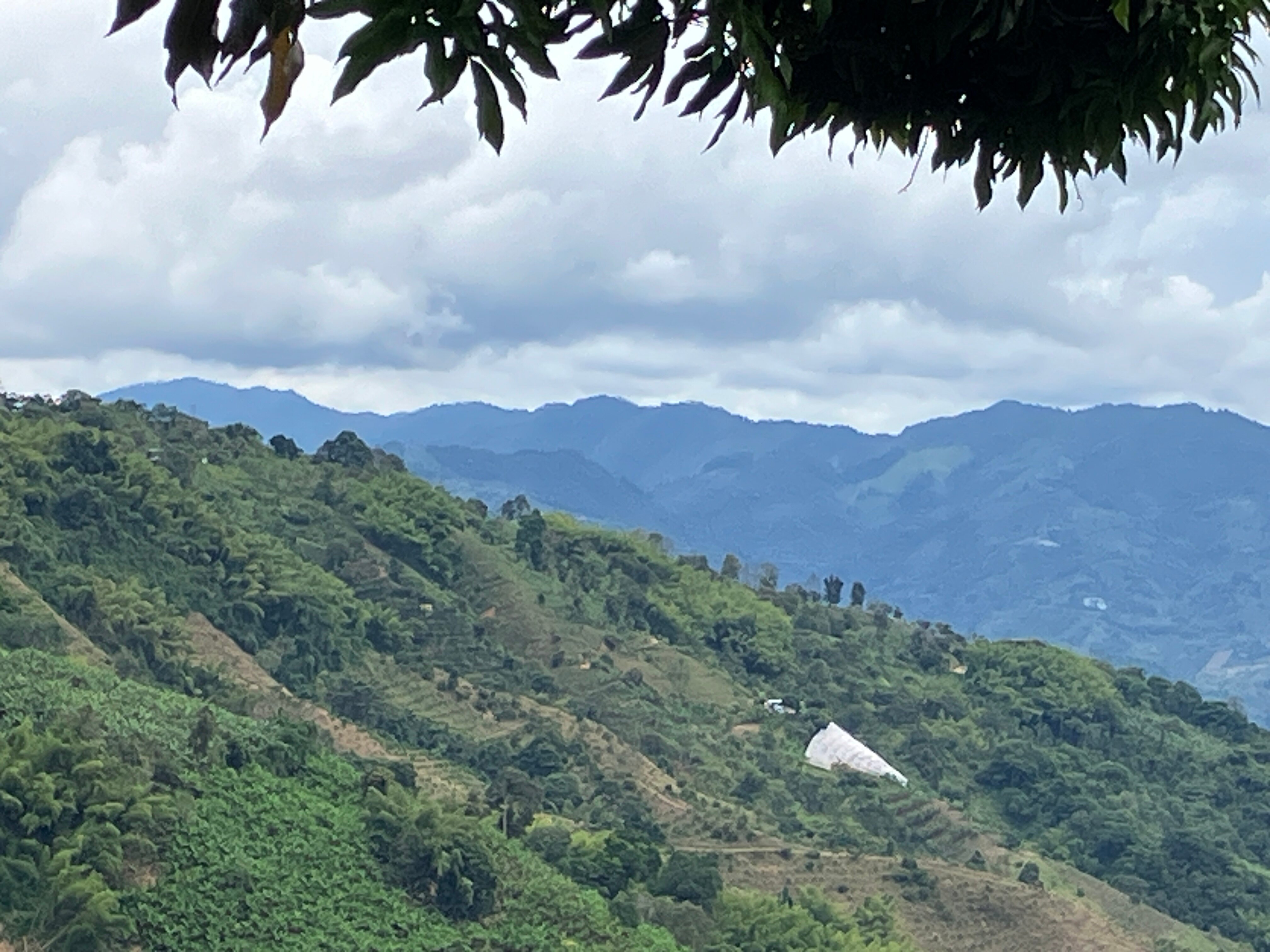 La Cima Eco Hotel-官方