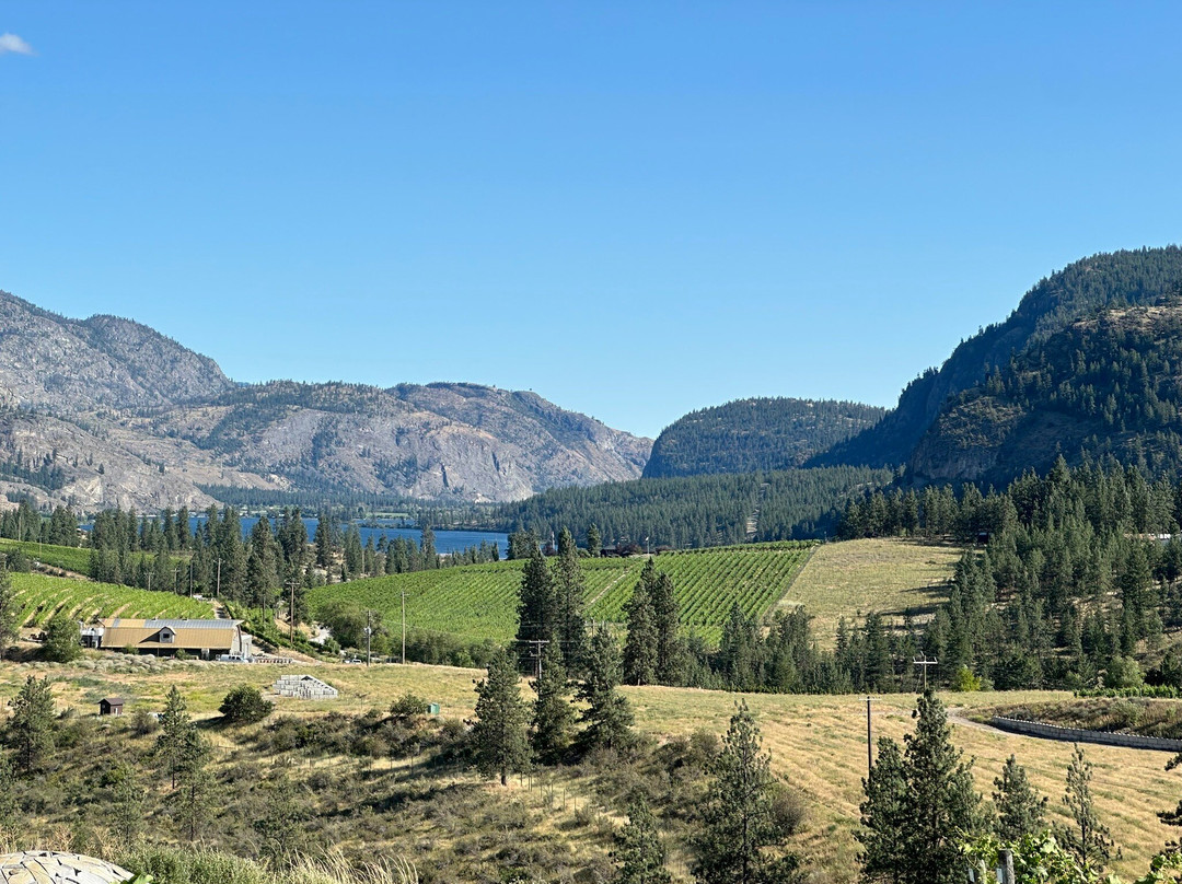 Liquidity Wines-Okanagan Falls必去景点