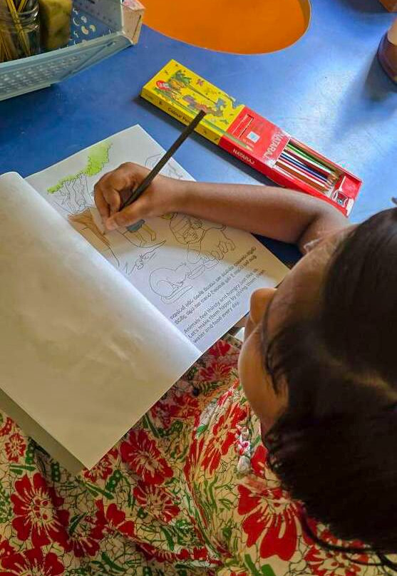 Animal SOS Sri Lanka-阿杭玛必去景点