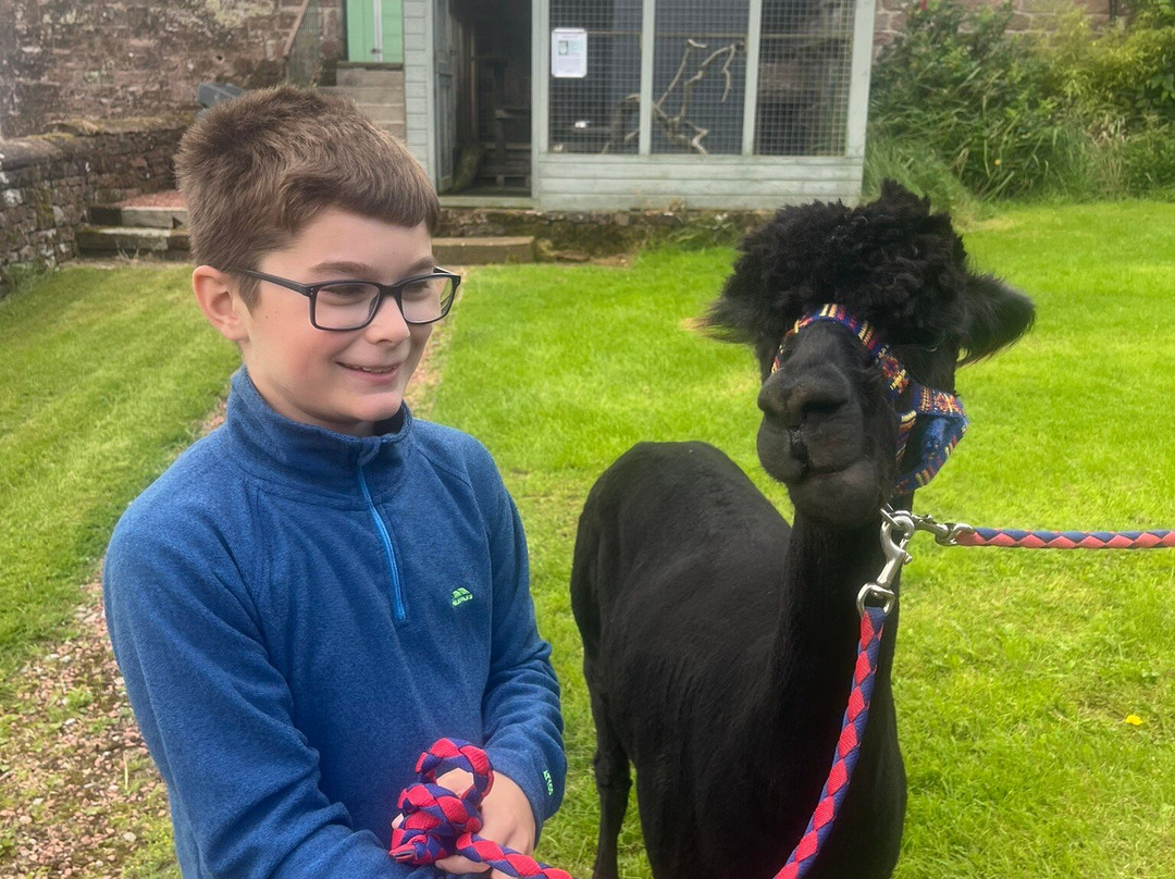 Lakeland Llama Treks-Melmerby必去景点