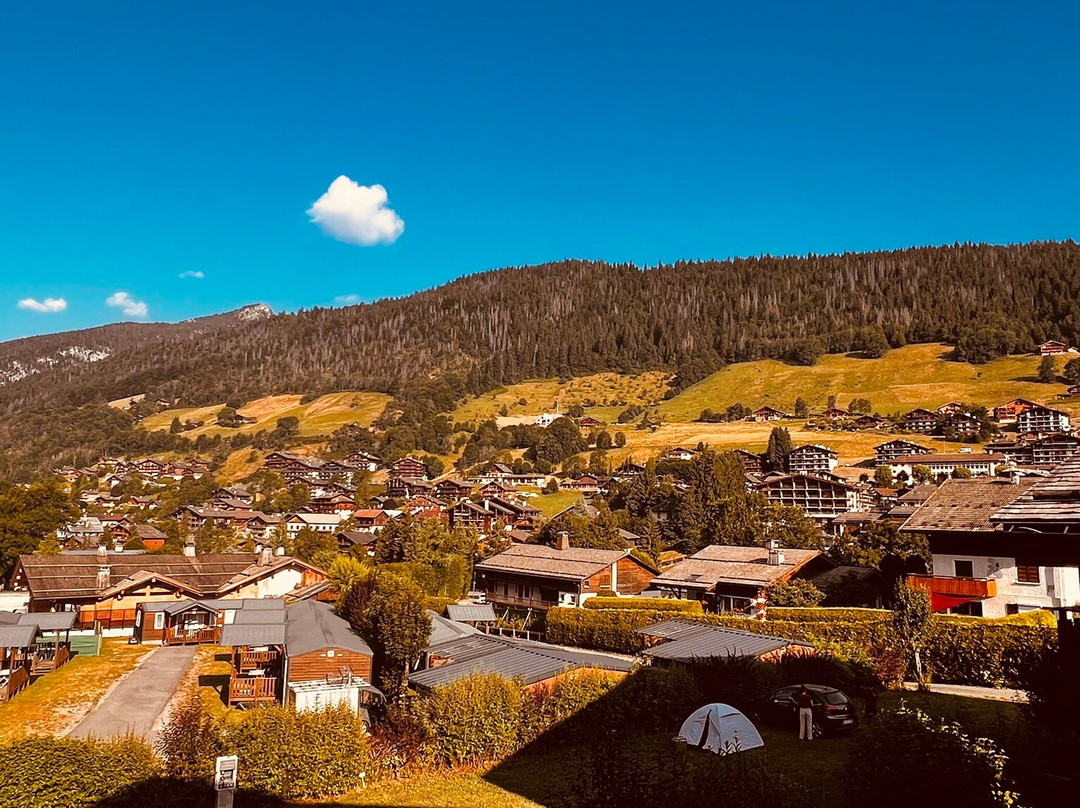 Hotel Le Delta主图