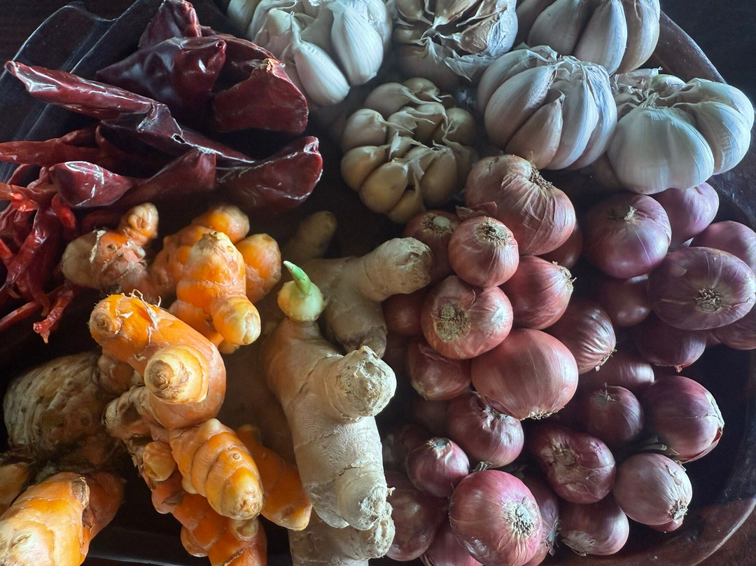 Mina's Cooking Classes-瑶诺岛必去景点