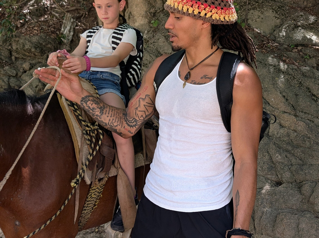 Puerto Vallarta Activities by My Deztination-瓦拉塔港必去景点