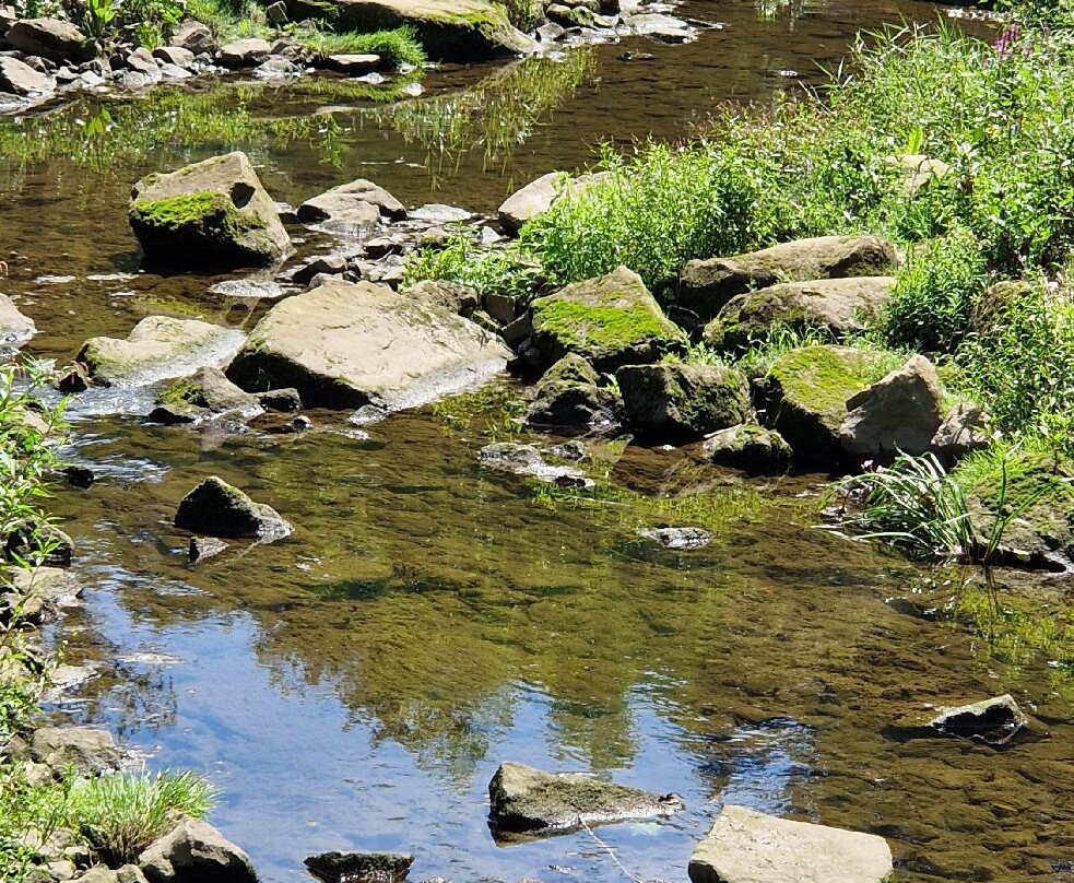 Pétrusse Parks-卢森堡城必去景点