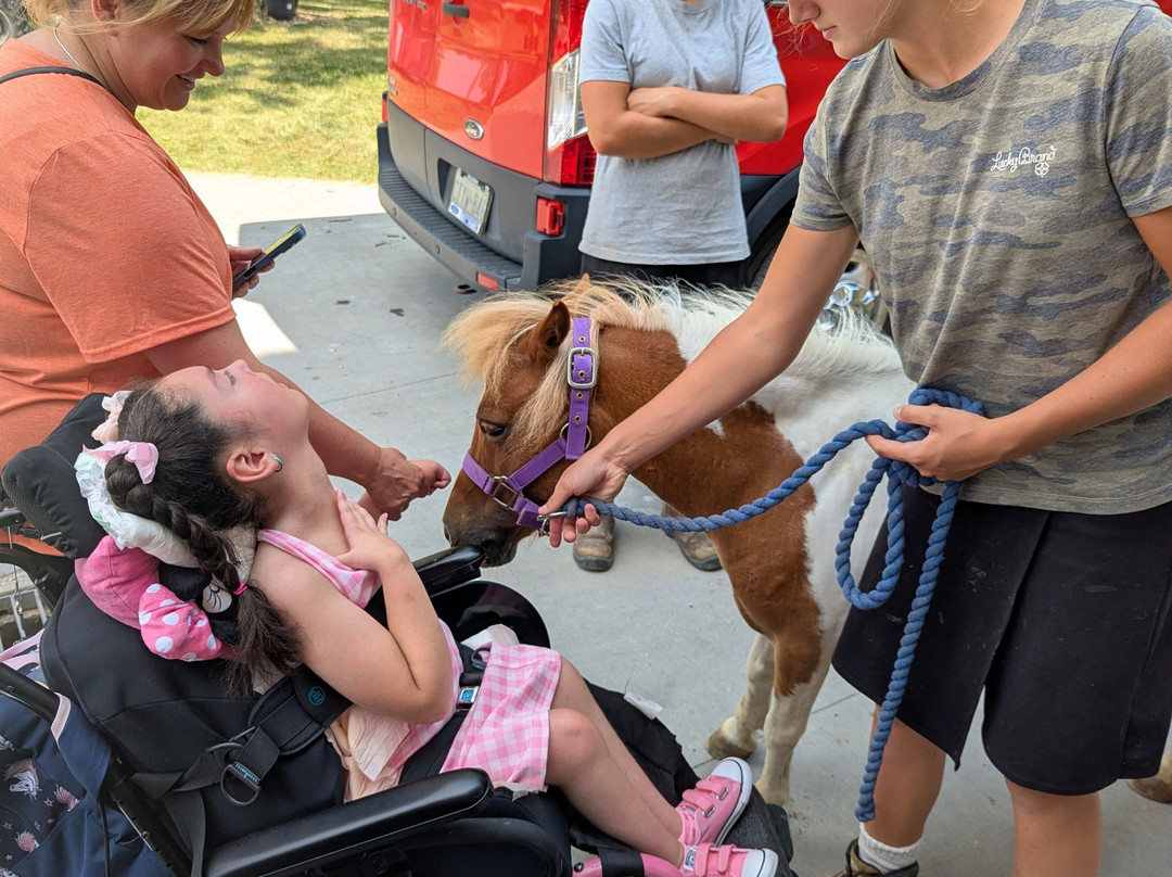 Jireh Hills Family Homestead-Alvinston必去景点