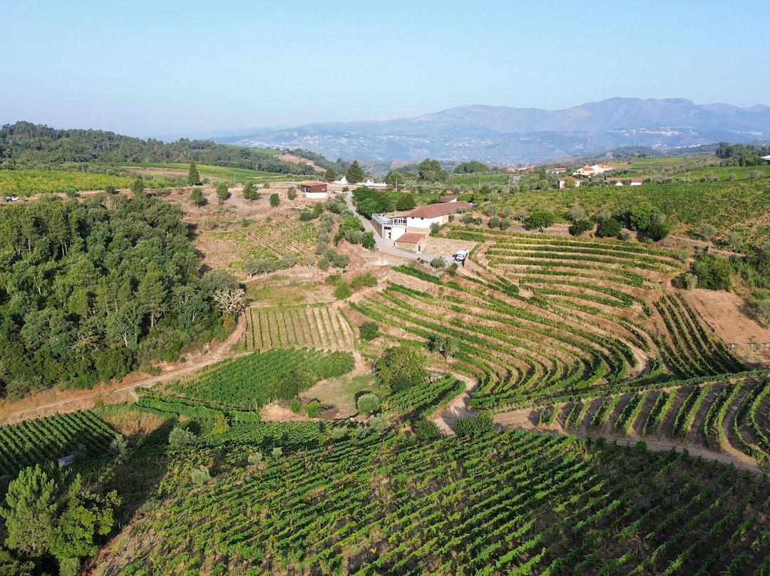 Quinta do Roncão-Vila Real必去景点