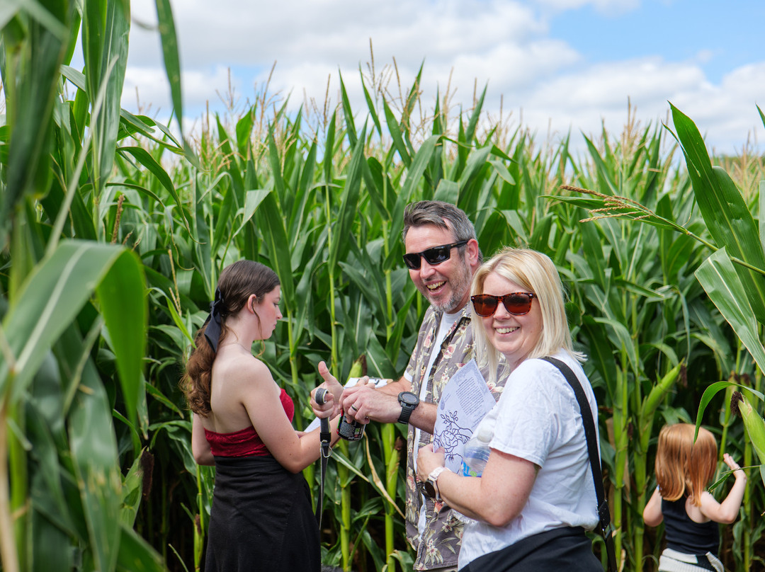 Elton Farm Maize Mazes-Newnham-on-Severn必去景点