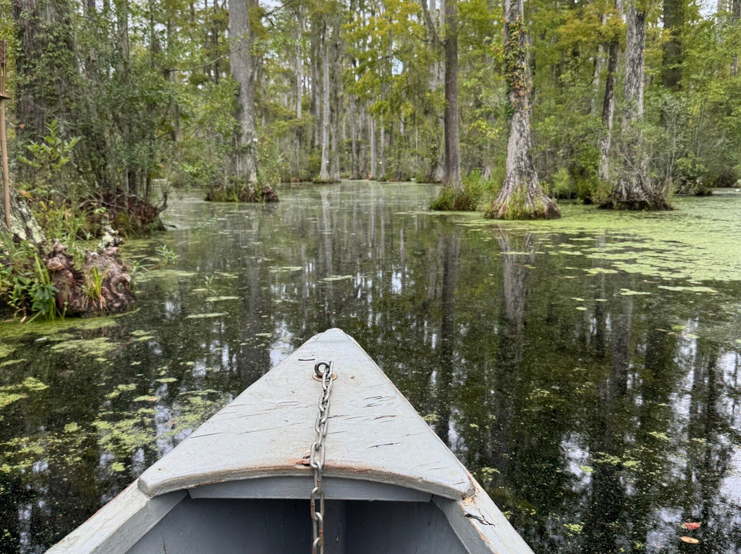 Cypress Gardens-蒙克斯科纳必去景点