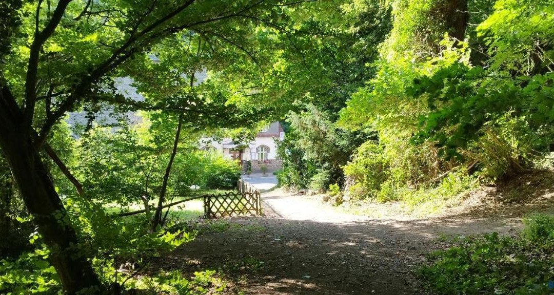 Schmökermühle主图