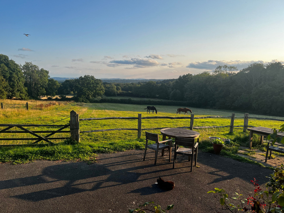 Moaps Farm Bed and Breakfast主图