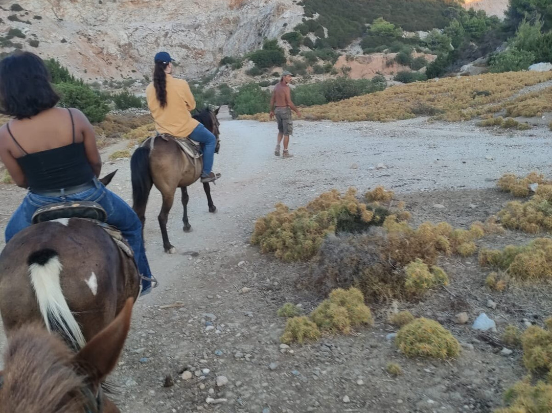 Apaloosa Horse Riding Club-Trachi必去景点