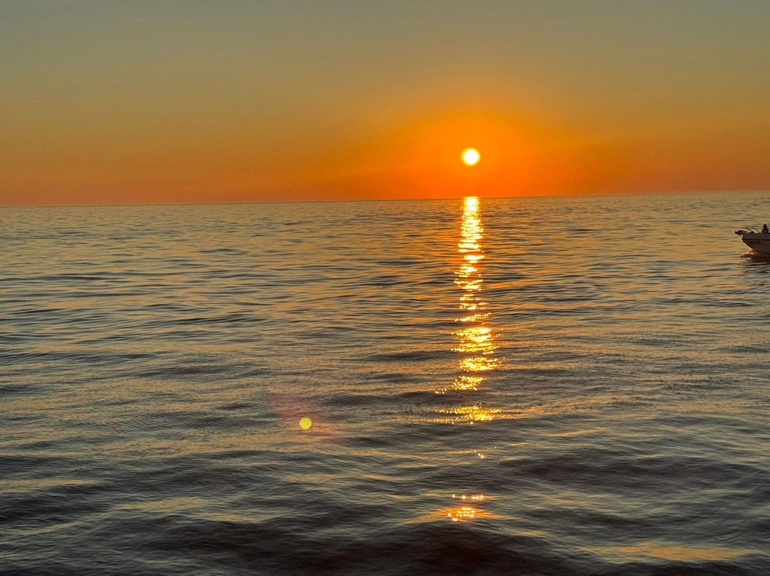 Excursions Mikela-弗萨必去景点