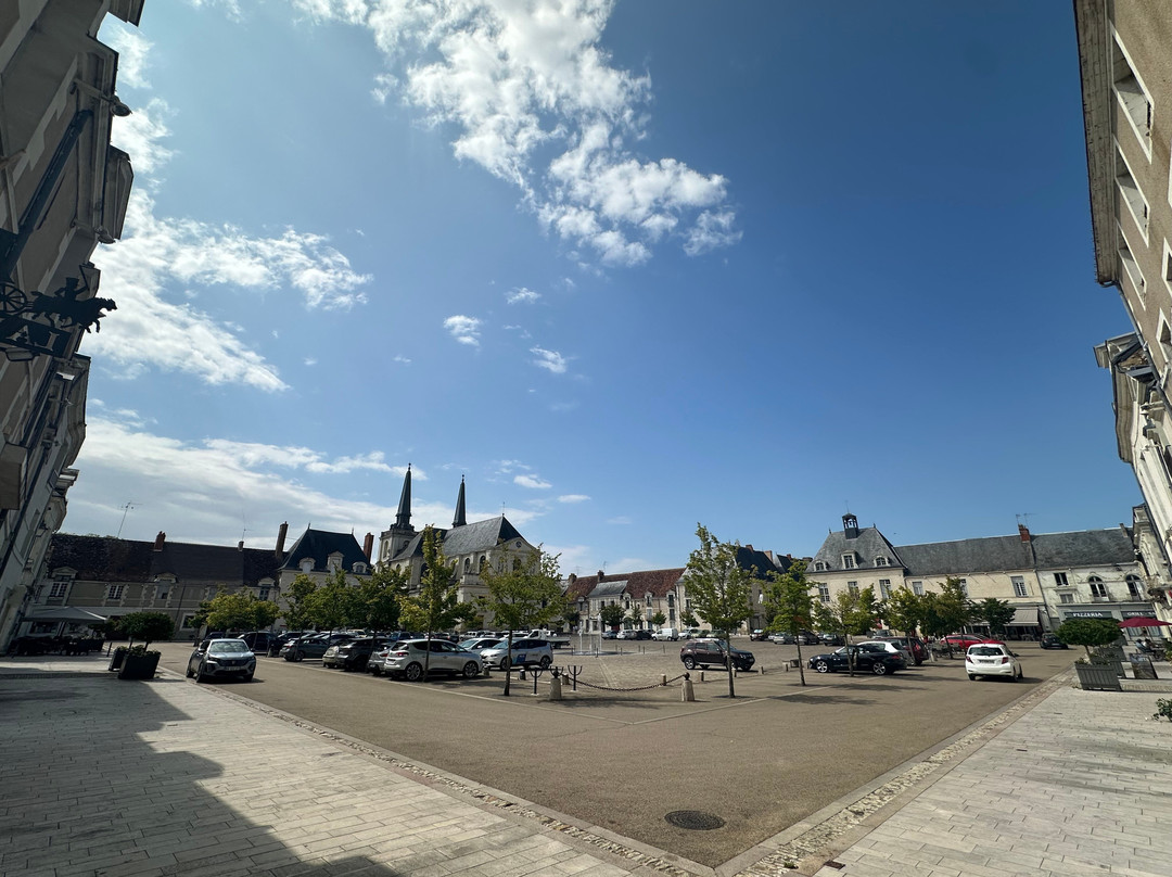 Logis Hôtel le Puits Doré主图