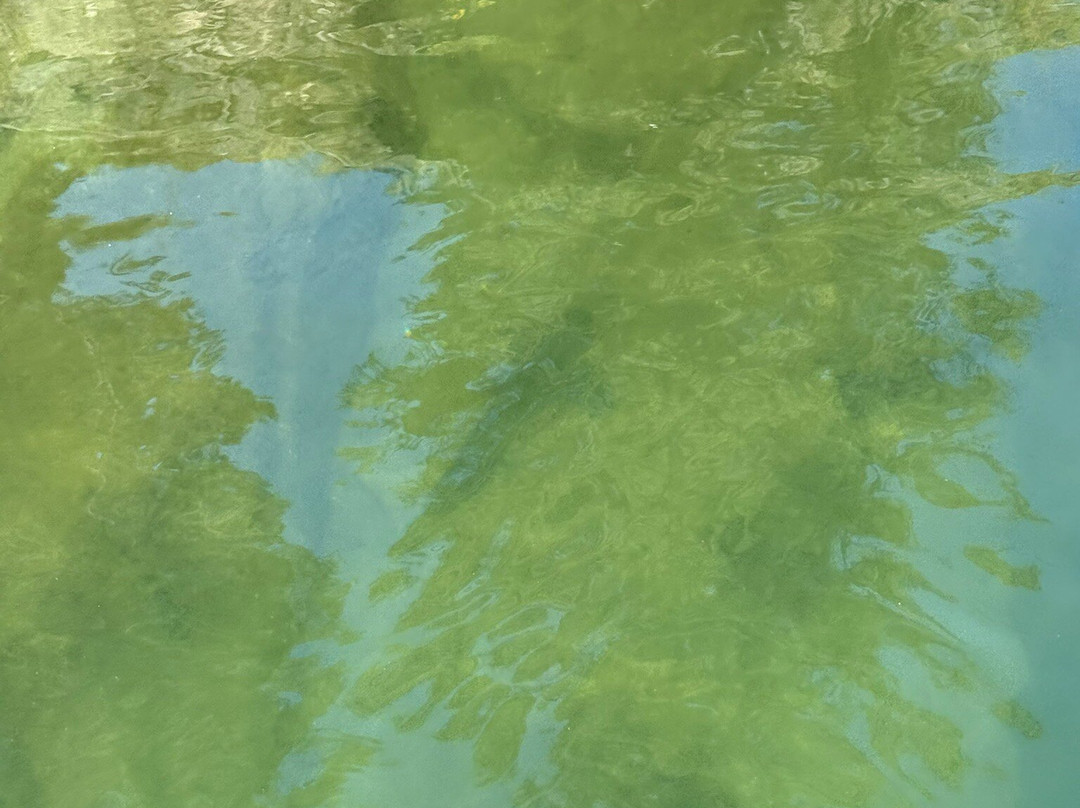 White Cloud Rafting Adventures-Stanley必去景点