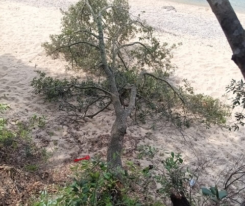 Zougla Beach-Olympiada必去景点