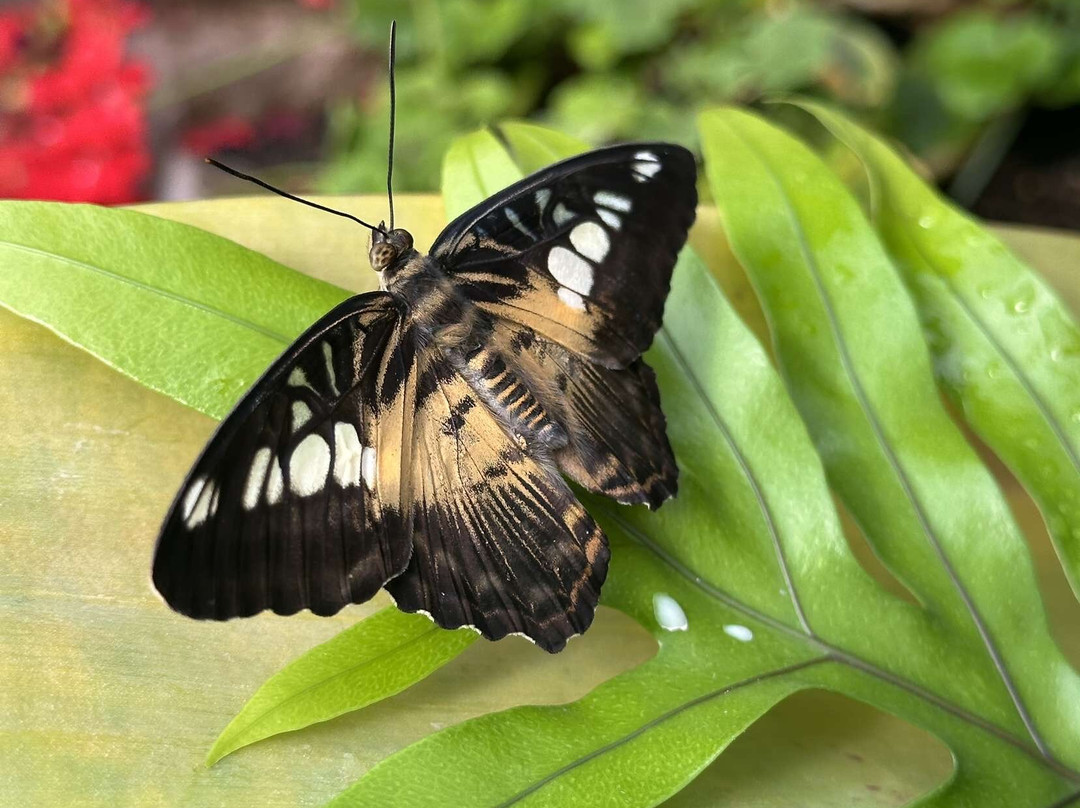 Lakeland Wildlife Oasis-Milnthorpe必去景点