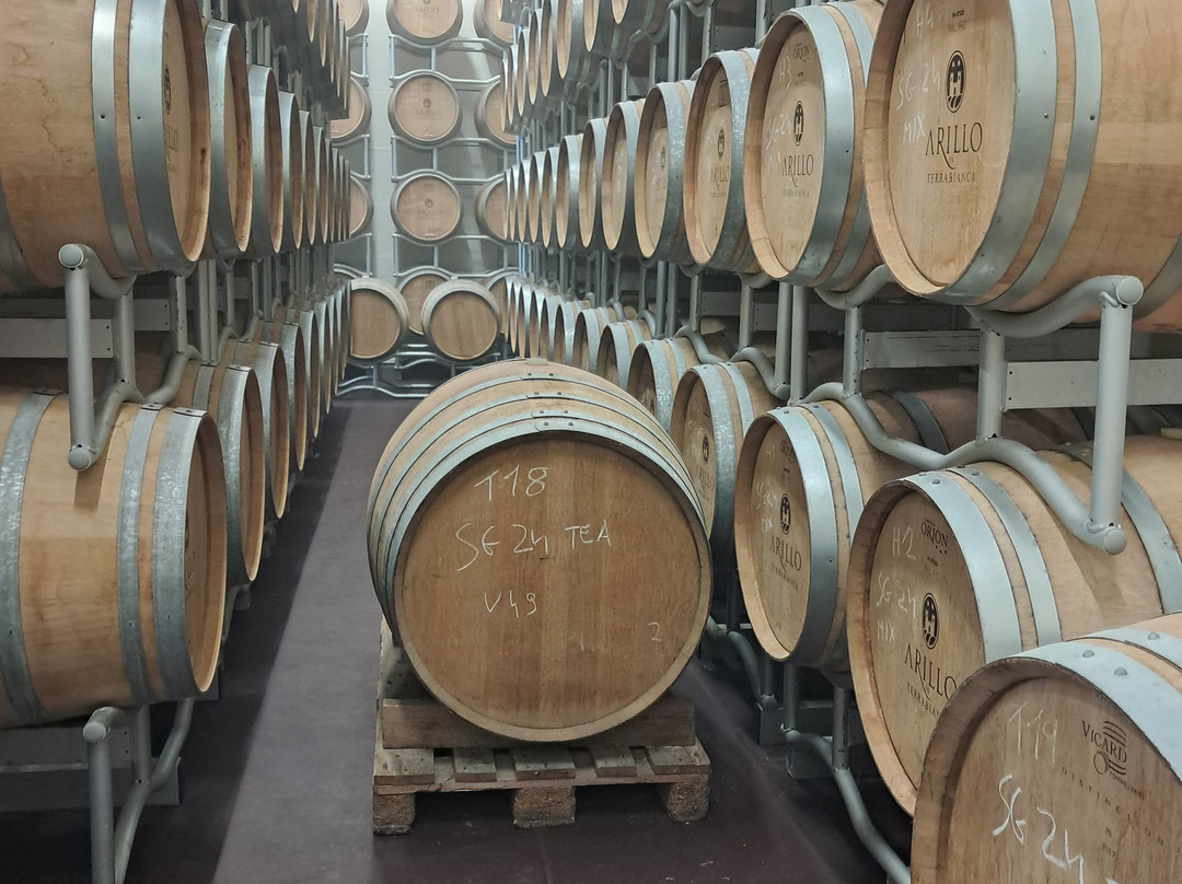 Tenuta il Tesoro, Arillo in Terrabianca-马萨马里蒂马必去景点