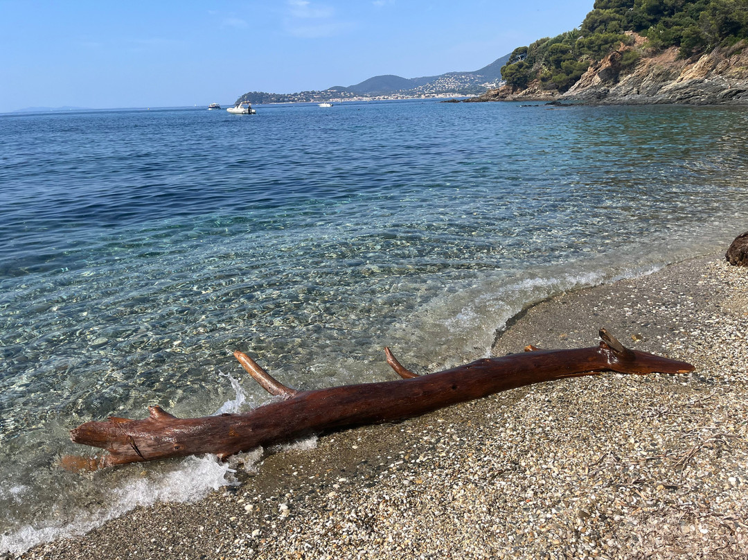 Plage de Vergeron