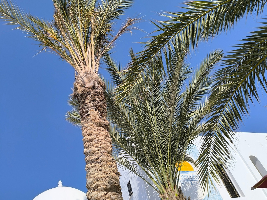 Hotel Residence Bellevue主图