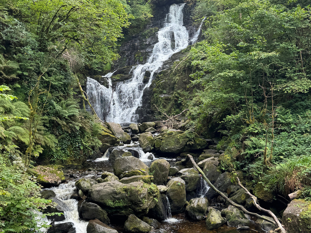 The Killarney Touring Co.-基拉尼必去景点