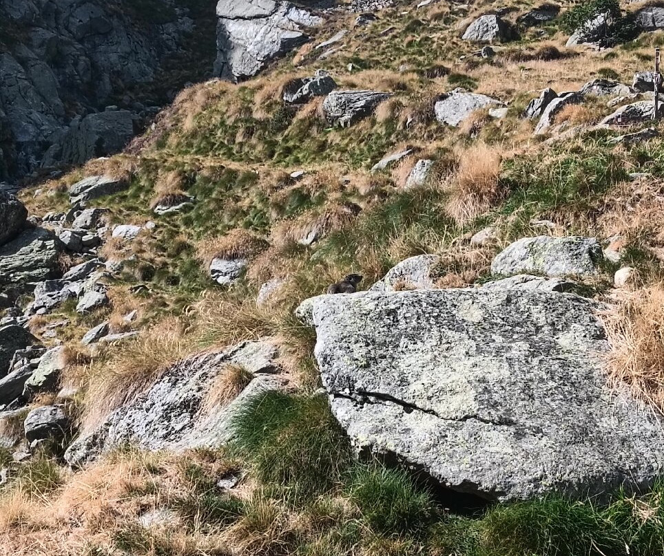 Rifugio Alfredo Rivetti-Andorno Micca必去景点