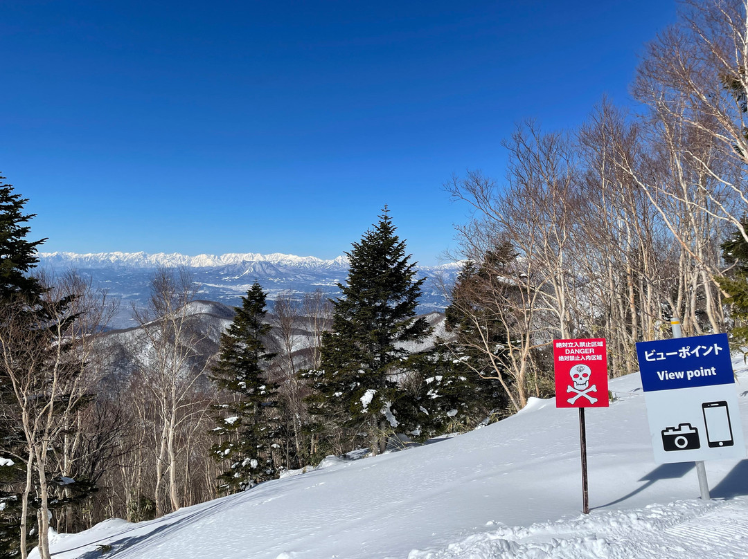 Shigakogen Yakebitaiyama Ski Area-山之内町必去景点