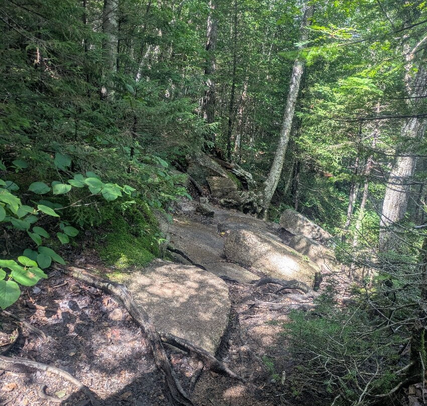 Champney Falls Trail-北康威必去景点