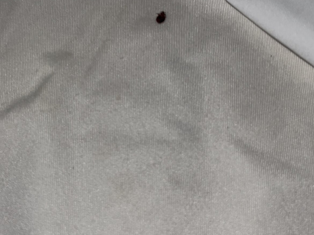 Namaste Palace Hotel主图